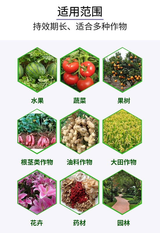 7658d043f781b40143308a470be5977_10.jpg 7658d043f781b40143308a470be5977_10.jpg