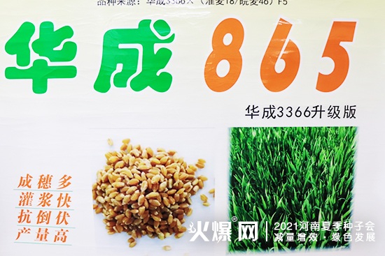 聚焦展會(huì),掘金市場(chǎng)!2021河南夏季種子會(huì),安徽華成期待您的蒞臨! 聚焦展會(huì),掘金市場(chǎng)!2021河南夏季種子會(huì),安徽華成期待您的蒞臨!