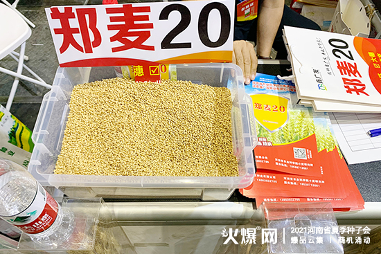 河南鑫廣發(fā)種業(yè)邀您聚首2021河南省夏季種子會(huì)! 河南鑫廣發(fā)種業(yè)邀您聚首2021河南省夏季種子會(huì)!