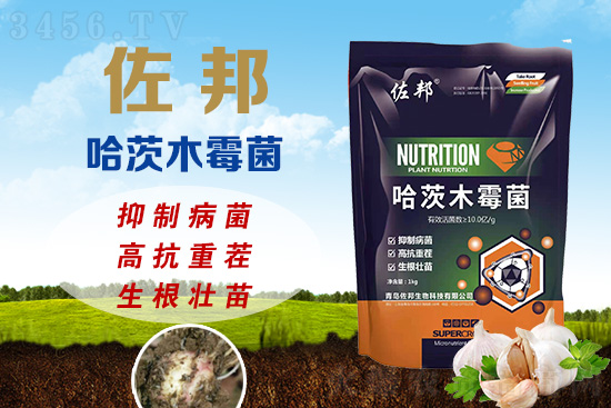 �ز�p�a(ch��n)��20%���ٲ��ξ��������������ľù��������߿��ز������