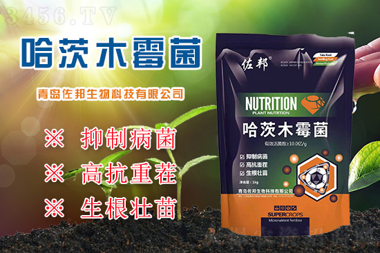 �ز�p�a(ch��n)��20%���ٲ��ξ��������������ľù��������߿��ز������