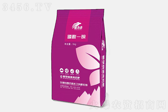 2021��9��4�Շ������@�Ј���r����