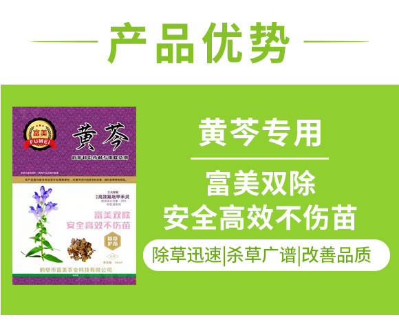 黄芩唇�Ş�U�中药材除草剂_03.jpg