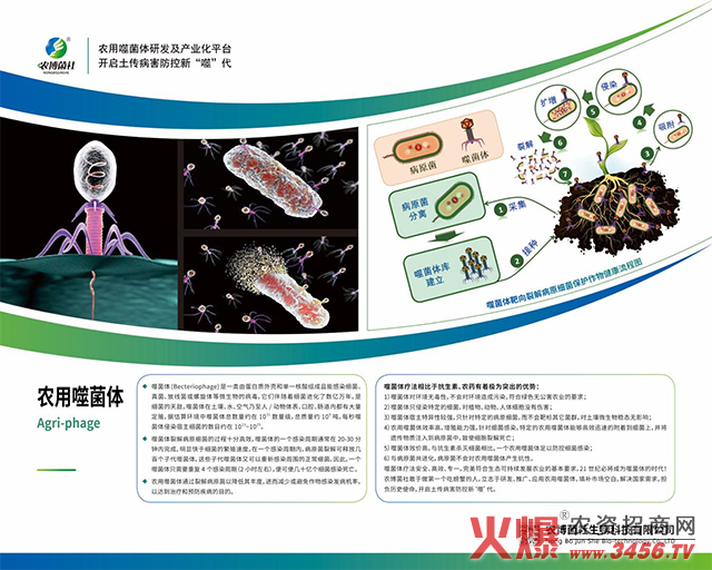 �r����������Ƽ����޹�˾