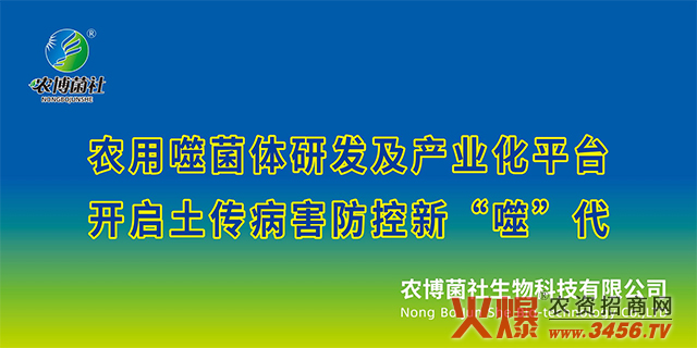 �r����������Ƽ����޹�˾