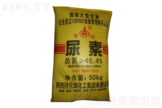 2021-10-12�������؃r�������rһ�[