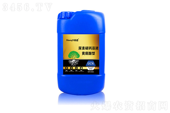 2021-10-21�������؃r���rһ�[