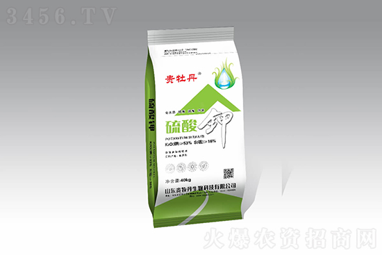 ����⛃r���rһ�[2021-11-12