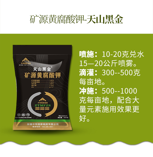 鐭挎簮榛勮厫閰擱捑-澶╁北榛戦噾-涓壒鐓03.jpg 鐭挎簮榛勮厫閰擱捑-澶╁北榛戦噾-涓壒鐓03.jpg