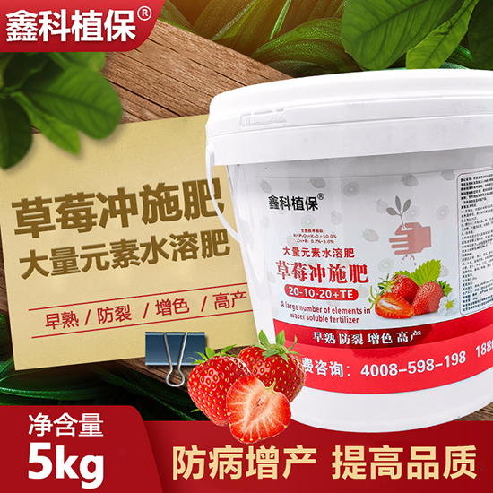 草莓冲施�?0-10-20+TE-鑫科植保.jpg