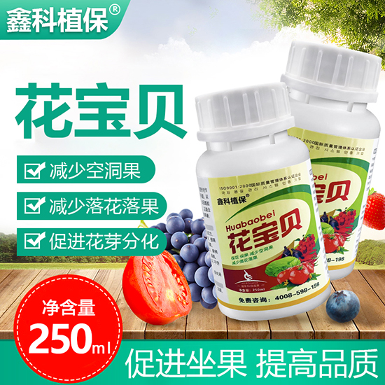 妞嶇墿鐢熼暱璋冭妭鍓?鑺卞疂璐?閼妞嶄繚.jpg 妞嶇墿鐢熼暱璋冭妭鍓?鑺卞疂璐?閼妞嶄繚.jpg