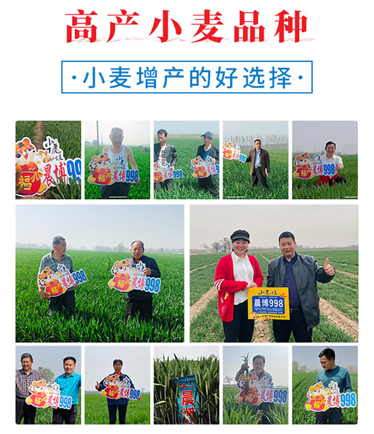 娌沖崡鏅ㄥ崥縐嶄笟鏈夐檺鍏徃_01.jpg 娌沖崡鏅ㄥ崥縐嶄笟鏈夐檺鍏徃_01.jpg