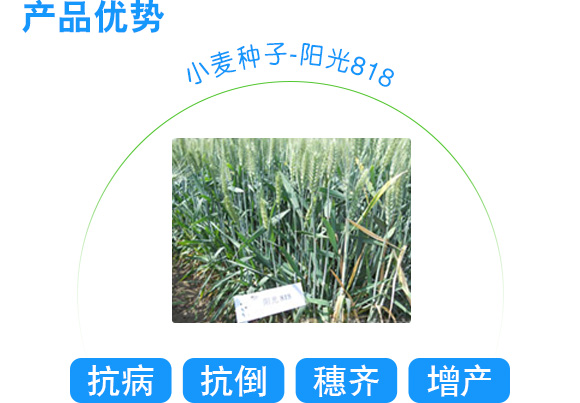 6374736744675452601247785.jpg 6374736744675452601247785.jpg