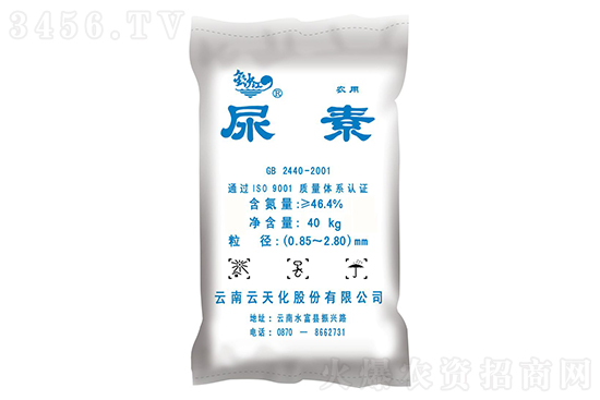 2022-12-12�������؃r�������rһ�[