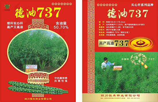 娌硅彍縐嶅瓙-寰鋒補(bǔ)737-鎭掔縐嶄笟2.jpg 娌硅彍縐嶅瓙-寰鋒補(bǔ)737-鎭掔縐嶄笟2.jpg