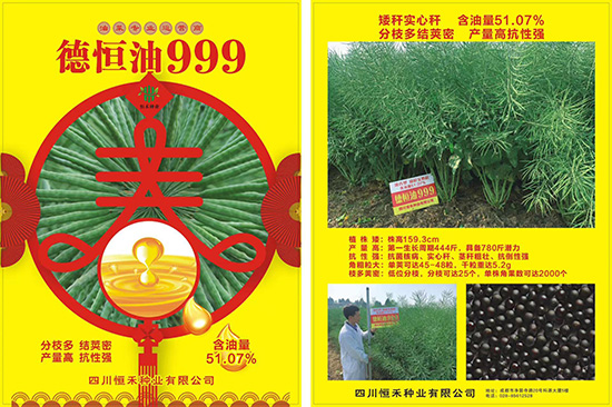 娌硅彍縐嶅瓙-寰鋒亽娌?99-鎭掔縐嶄笟2.jpg 娌硅彍縐嶅瓙-寰鋒亽娌?99-鎭掔縐嶄笟2.jpg