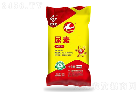 2023-2-6�������؃r�������rһ�[