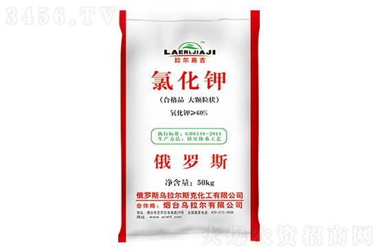 �����Ȼ�⛃r�������߄�2023-2-8