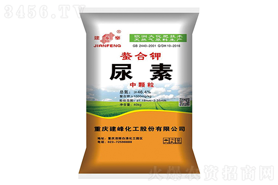 2023-2-13���؃r(ji��)�������߄�(sh��)����