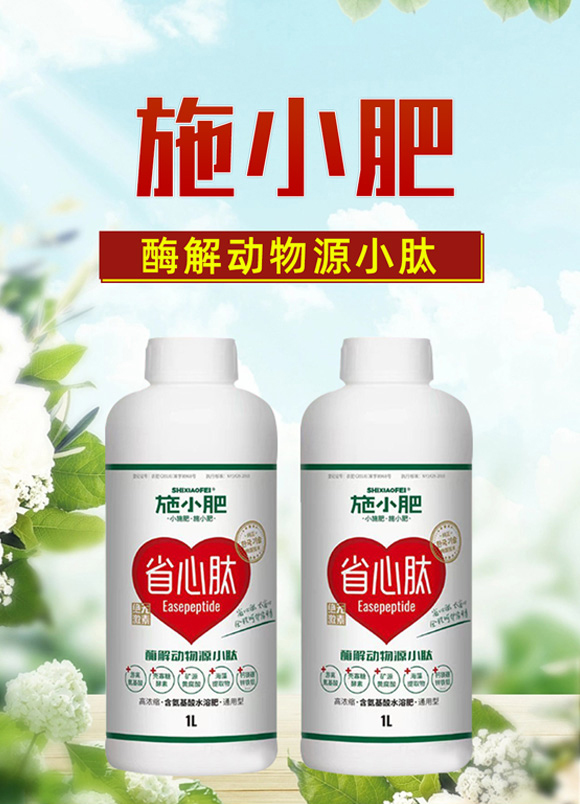 酶解动物源小�?施小肥_01.jpg