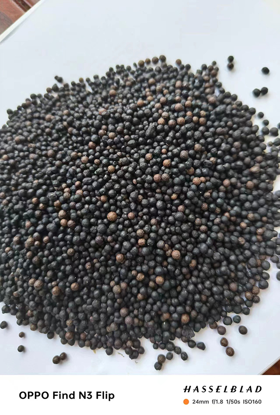 寰俊鍥劇墖_20240717160730.jpg 寰俊鍥劇墖_20240717160730.jpg