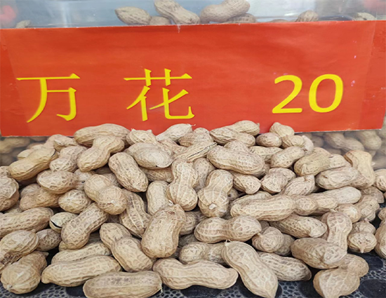 寰俊鍥劇墖_20241224140557.png 寰俊鍥劇墖_20241224140557.png