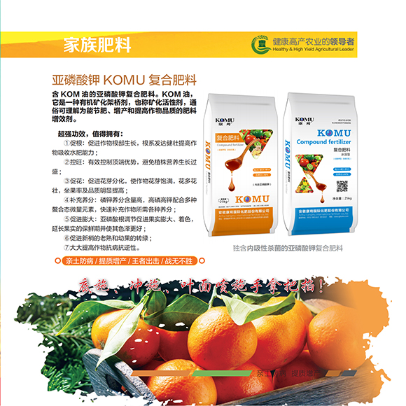 涓扮敯鐢誨唽20250419a_06.jpg 涓扮敯鐢誨唽20250419a_06.jpg