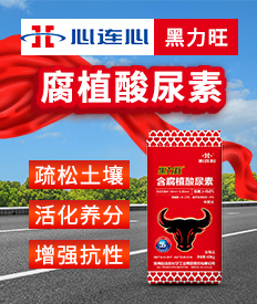 �������B�Ļ��W(xu��)���I(y��)���F�ɷ����޹�˾