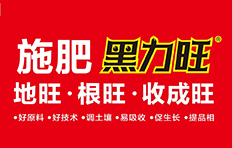 �������B�Ļ��W(xu��)���I(y��)���F�ɷ����޹�˾