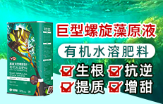 ��ɭԪ�����_���M�������޹�˾