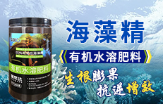 �A��(chu��ng)΢���＼�g(sh��)(���_)���޹�˾