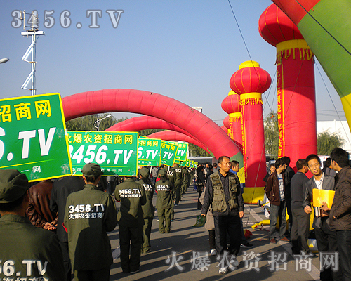 �F�Y(ji��)���҂�������