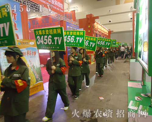 ���W(w��ng)վ�Č����͈F꠵��Є���չ�F(xi��n)���˂���ǰ