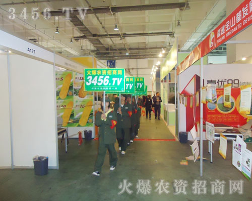 �𱬾W(w��ng)�ڵھŌ÷N�ӕ�(hu��)�ϳɞ齹�c(di��n)