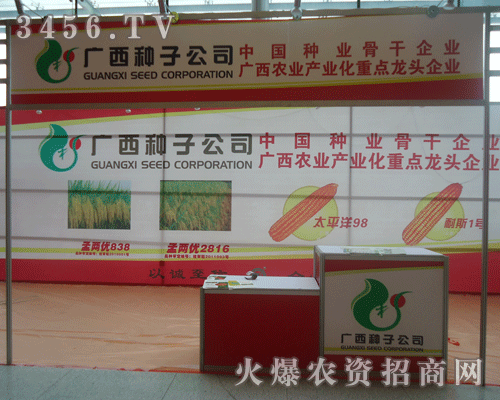 �V���N�ӹ�˾