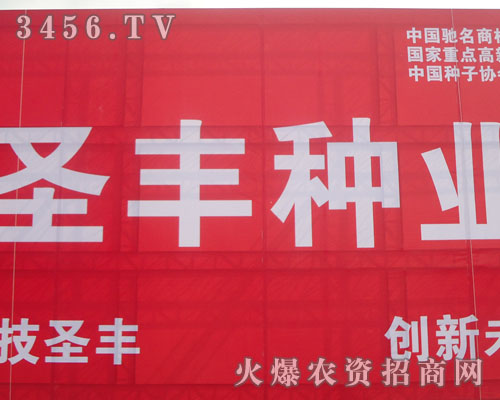 山東圣豐種業(yè)