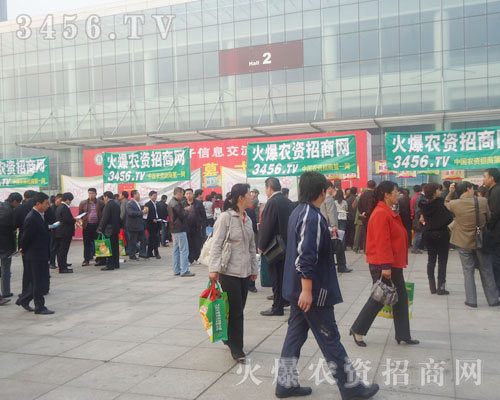 �P�����ŵ��L(f��ng)����չʾ�ഺ���L(f��ng)��