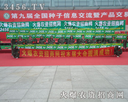 ��(chu��ng)���ǻ𱬾W(w��ng)������ǰ�l(f��)չ���Ƅ���