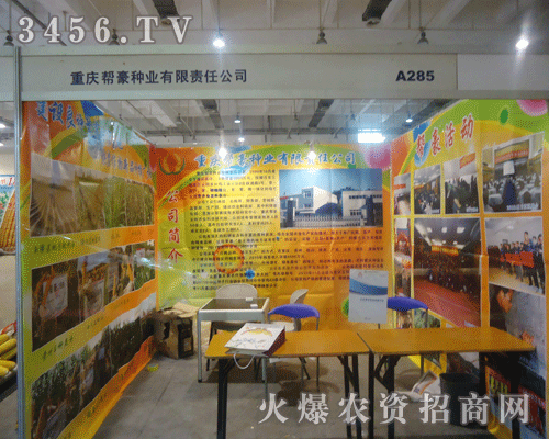 �ؑc�ͺ��N�I(y��)����؟(z��)�ι�˾