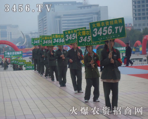 ������Գ�Խ���ˑB(t��i)���F(xi��n)��ɽ�|ֲ������