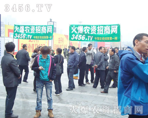 ��������������_��ؔ��֮�T