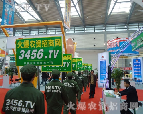 �𱬈Fꠔy�ֲ����J����