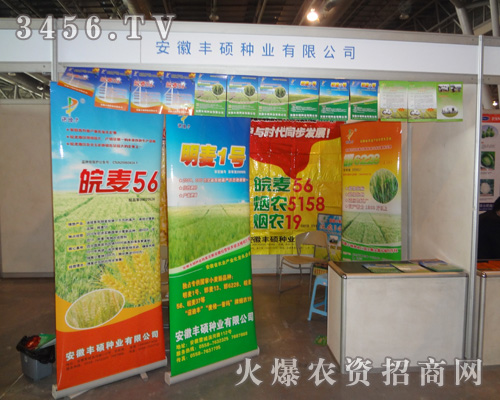 �����S�T�N�I(y��)