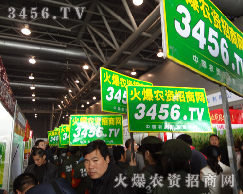 ȼ���ğ�����ǰ�M(j��n)�Ļ�