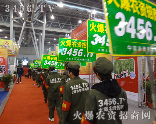 �ഺ�Ļ������Gɫ����