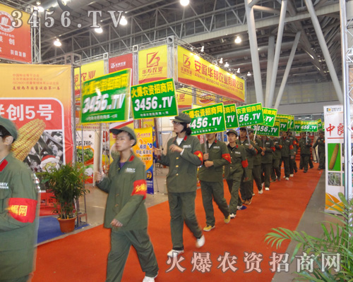 ���Ї�(y��n)���(zh��)�����Ļ���