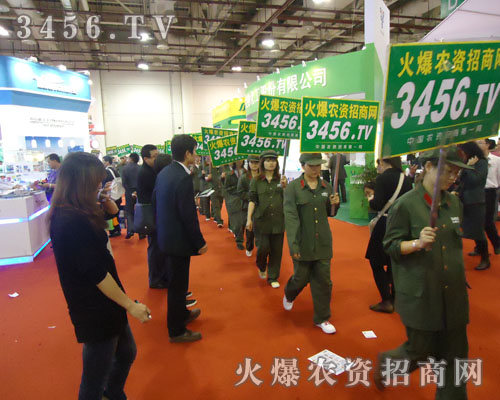 �M�����ĵĻ��r(n��ng)�Y���̾W(w��ng)�F(tu��n)�(du��)