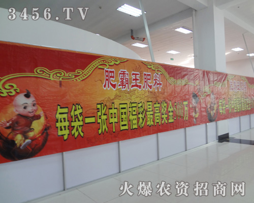 山東肥霸王化工有限公司