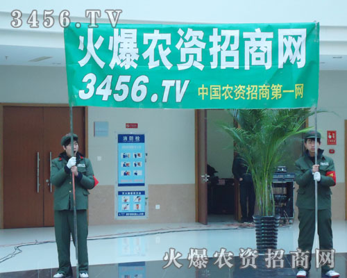 ����������˄�(chu��ng)�µ�����