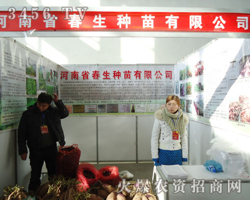 �����N��